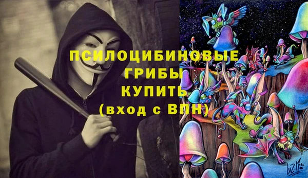 2c-b Вязники